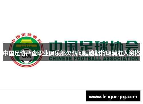 中国足协严查职业俱乐部欠薪问题逾期将取消准入资格
